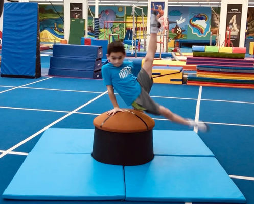 Gymnastics  Training Equipment  Olympia Pommel Trainer Elite  For For Advanced Training