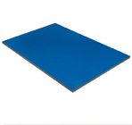 Gymnastics 20*20  Wholesale  Practice  High Quality Roll-Up Wrestling Mat